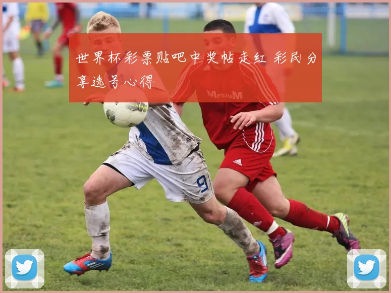 世界杯彩票贴吧中奖帖走红 彩民分享选号心得