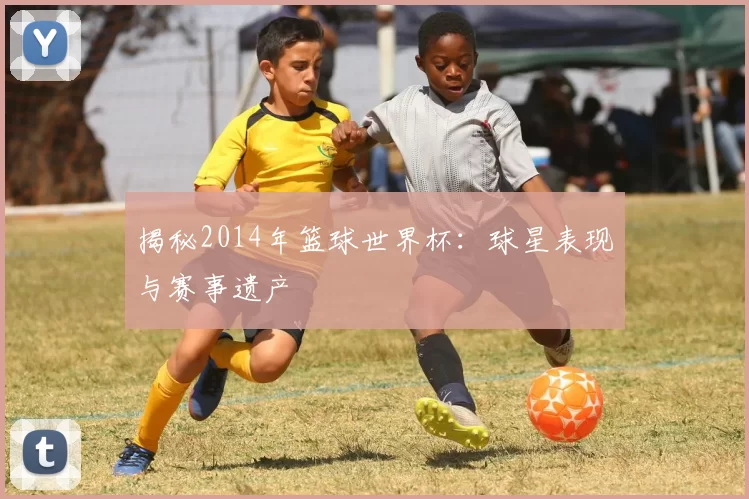 揭秘2014年篮球世界杯：球星表现与赛事遗产