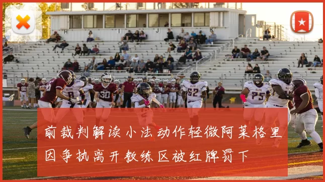 前裁判解读小法动作轻微阿莱格里因争执离开教练区被红牌罚下