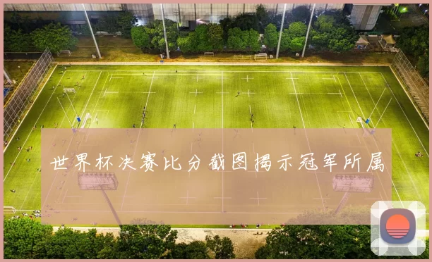 世界杯决赛比分截图揭示冠军所属