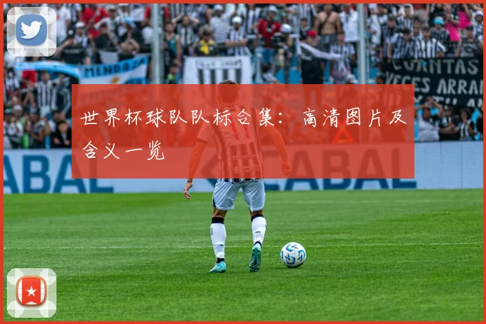 世界杯球队队标合集:高清图片及含义一览