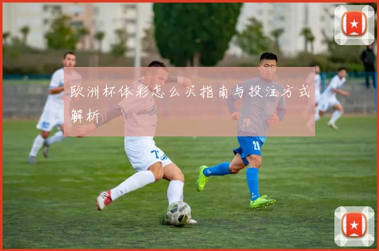 欧洲杯体彩怎么买指南与投注方式解析
