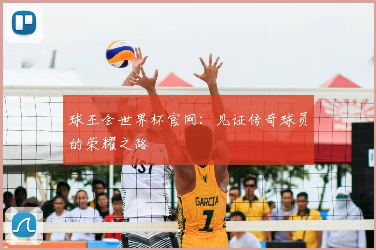 球王会世界杯官网：见证传奇球员的荣耀之路