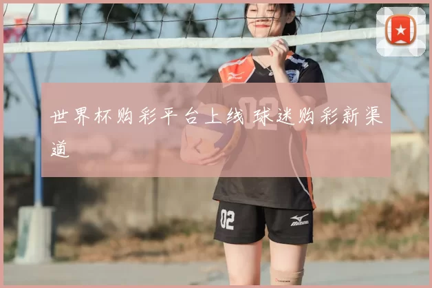 世界杯购彩平台上线 球迷购彩新渠道