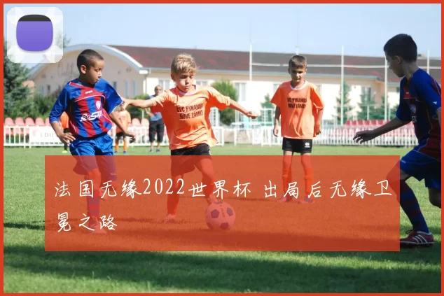 法国无缘2022世界杯 出局后无缘卫冕之路