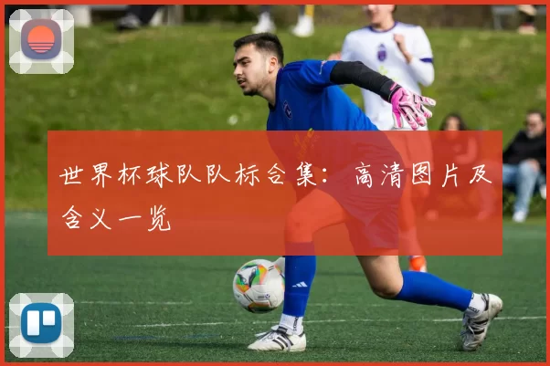世界杯球队队标合集：高清图片及含义一览