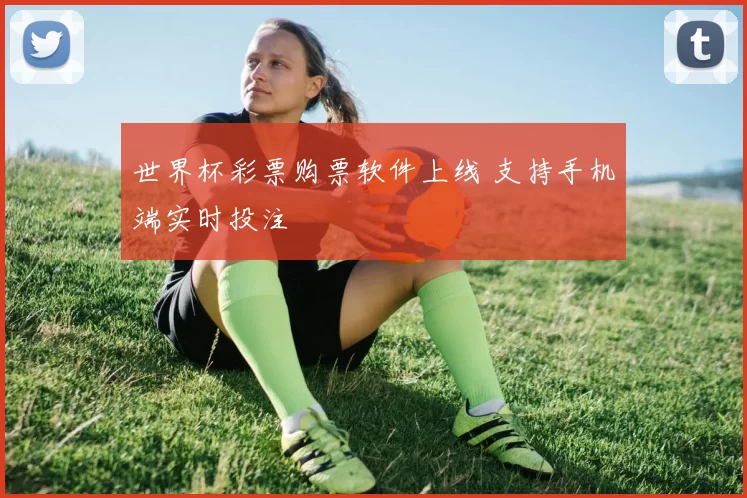 世界杯彩票购票软件上线 支持手机端实时投注
